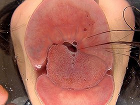 悩殺！！たっぷり唾液で迫るバーチャルべろキス　サンプル画像08